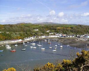 Lower Fishguard (Cwm)