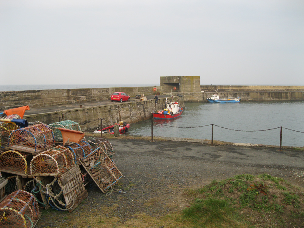 Craster