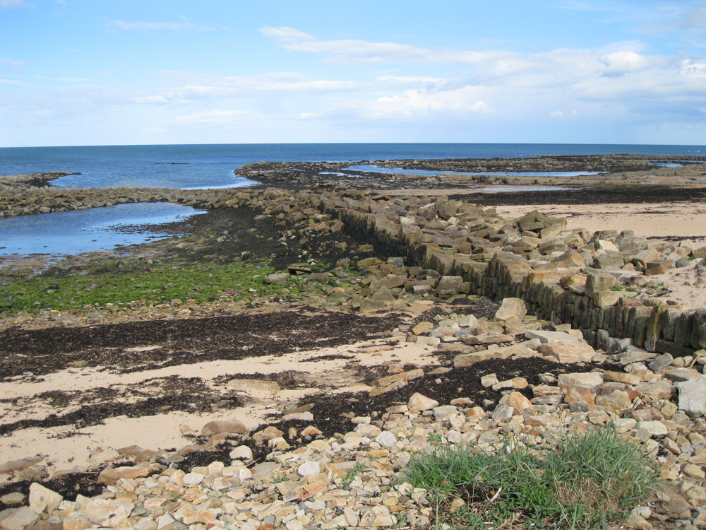 Kingsbarns