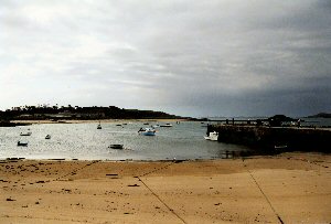 New Grimsby